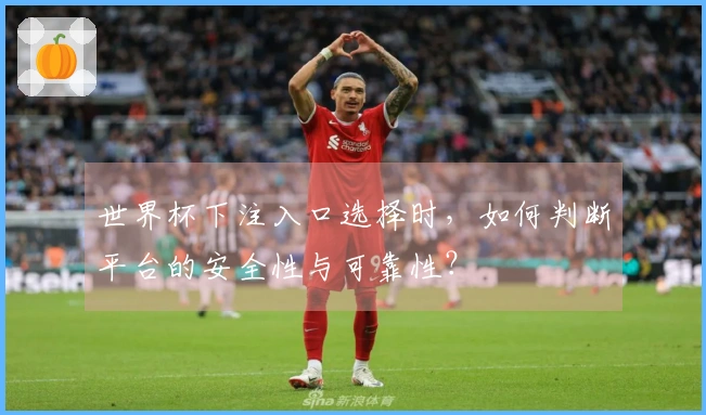 世界杯下注入口选择时，如何判断平台的安全性与可靠性？