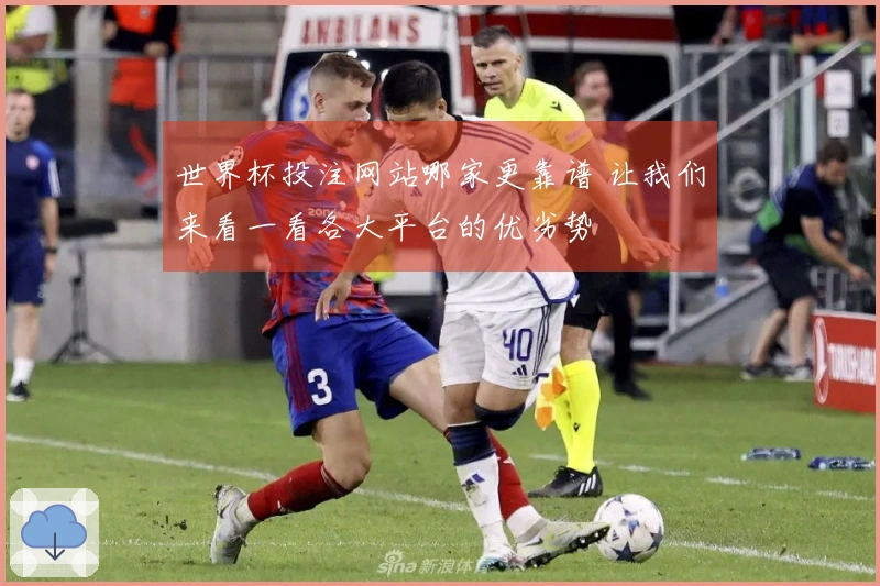 世界杯投注网站哪家更靠谱 让我们来看一看各大平台的优劣势