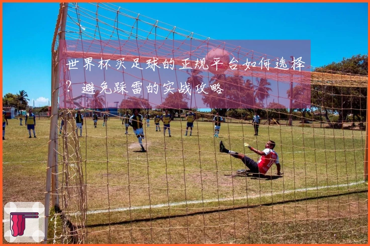 世界杯买足球的正规平台如何选择？避免踩雷的实战攻略