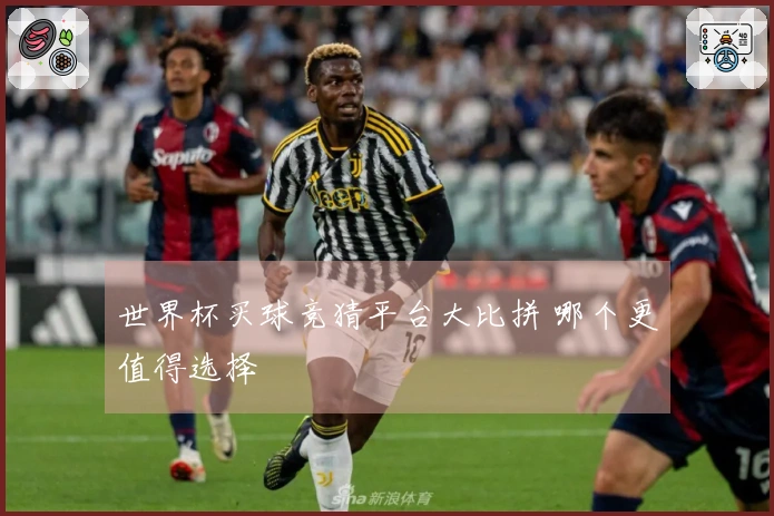 世界杯买球竞猜平台大比拼 哪个更值得选择