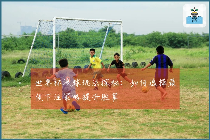 世界杯滚球玩法探秘：如何选择最佳下注策略提升胜算