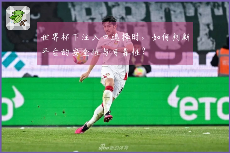 世界杯下注入口选择时，如何判断平台的安全性与可靠性？