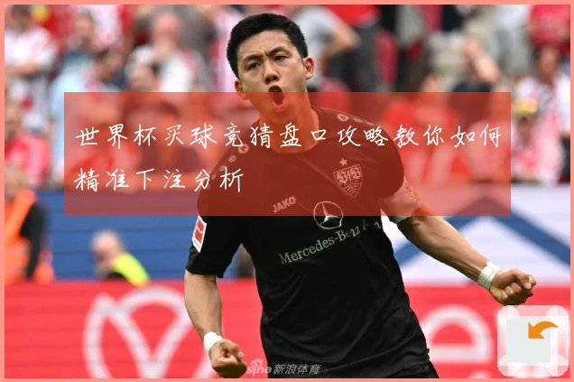 世界杯买球竞猜盘口攻略教你如何精准下注分析