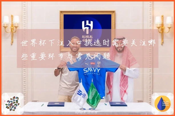 世界杯下注入口挑选时需要关注哪些重要环节与常见问题