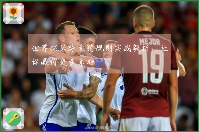 世界杯买球竞猜规则实战解析，让你赢得更多乐趣
