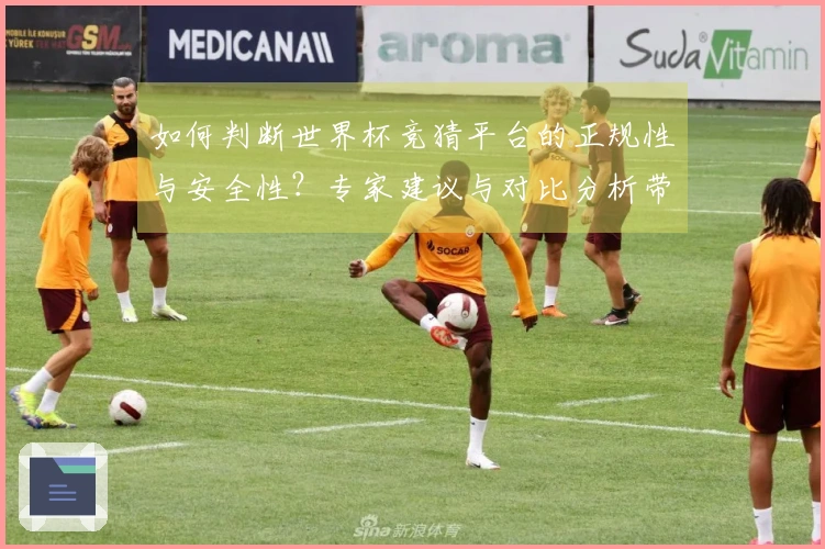 如何判断世界杯竞猜平台的正规性与安全性？专家建议与对比分析带你了解