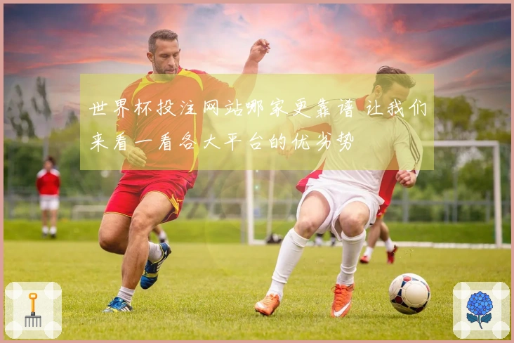 世界杯投注网站哪家更靠谱 让我们来看一看各大平台的优劣势